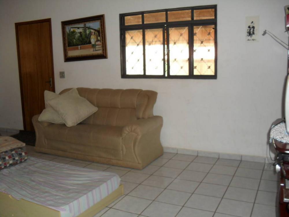 Comprar Rural / Chácara em São José do Rio Preto R$ 1.500.000,00 - Foto 5