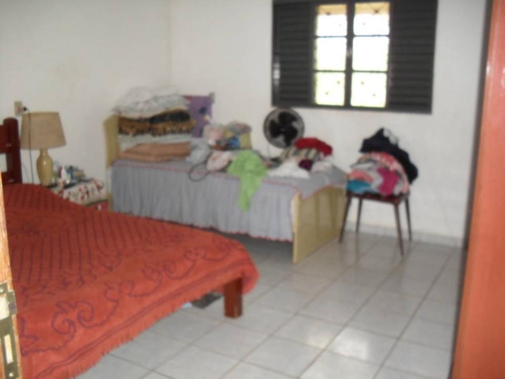 Comprar Rural / Chácara em São José do Rio Preto R$ 1.500.000,00 - Foto 6