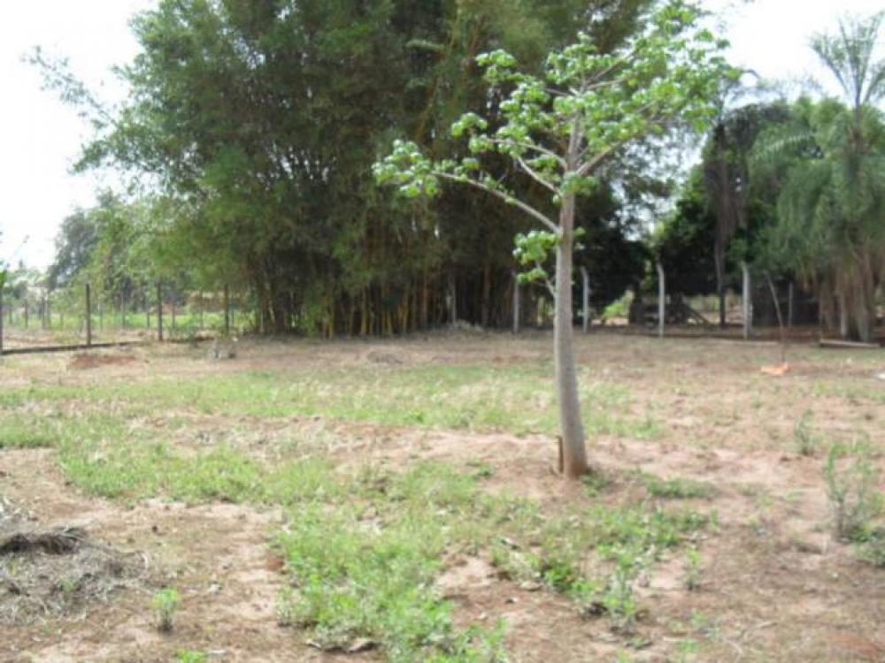 Comprar Rural / Chácara em São José do Rio Preto R$ 1.500.000,00 - Foto 15