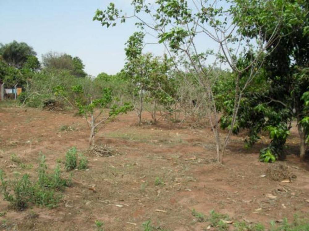 Comprar Rural / Chácara em São José do Rio Preto R$ 1.500.000,00 - Foto 17