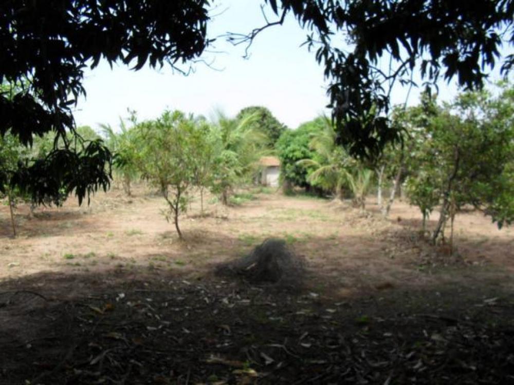 Comprar Rural / Chácara em São José do Rio Preto R$ 1.500.000,00 - Foto 20