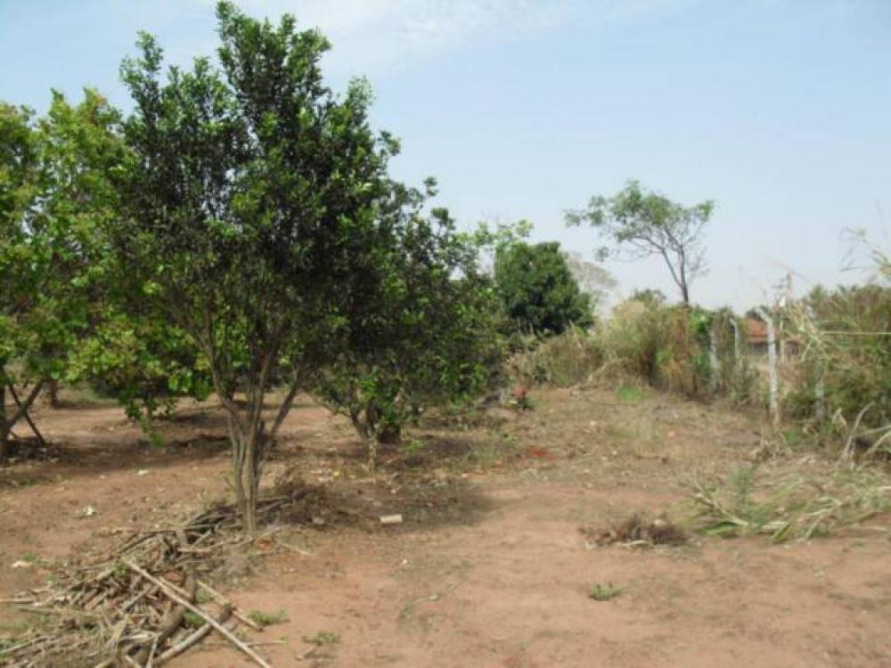 Comprar Rural / Chácara em São José do Rio Preto R$ 1.500.000,00 - Foto 23