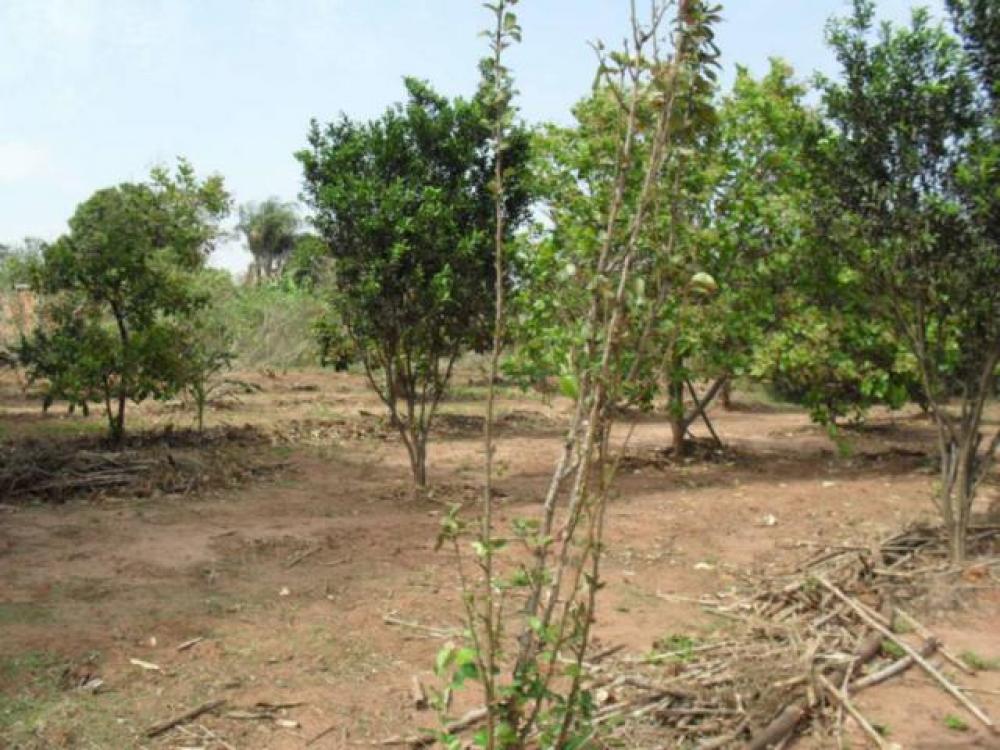 Comprar Rural / Chácara em São José do Rio Preto R$ 1.500.000,00 - Foto 24