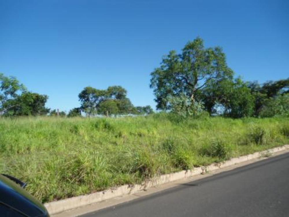 Comprar Terreno / Área em São José do Rio Preto apenas R$ 29.500.000,00 - Foto 1