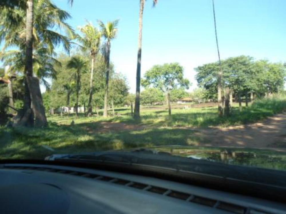Comprar Terreno / Área em São José do Rio Preto R$ 29.500.000,00 - Foto 3