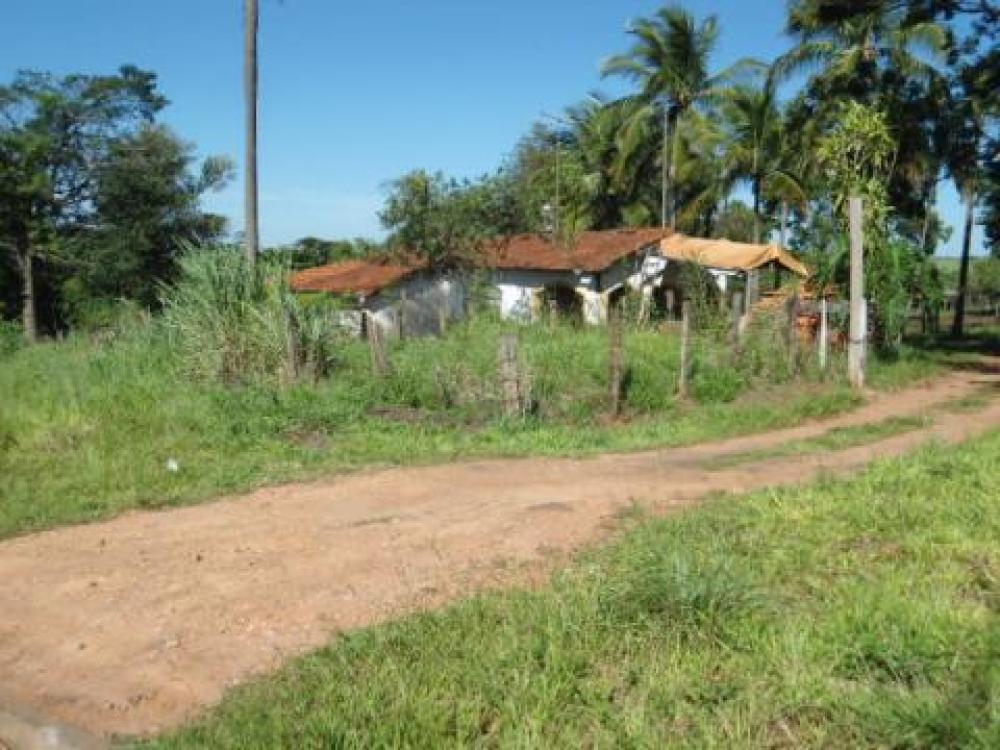 Comprar Terreno / Área em São José do Rio Preto R$ 29.500.000,00 - Foto 21