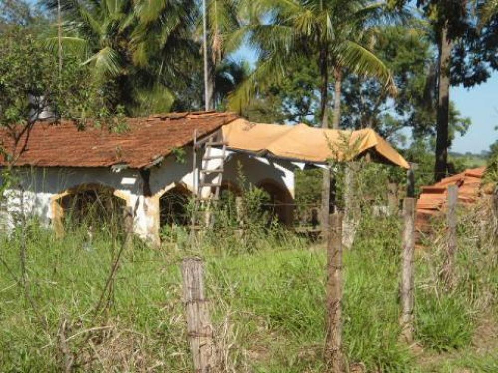 Comprar Terreno / Área em São José do Rio Preto R$ 29.500.000,00 - Foto 24