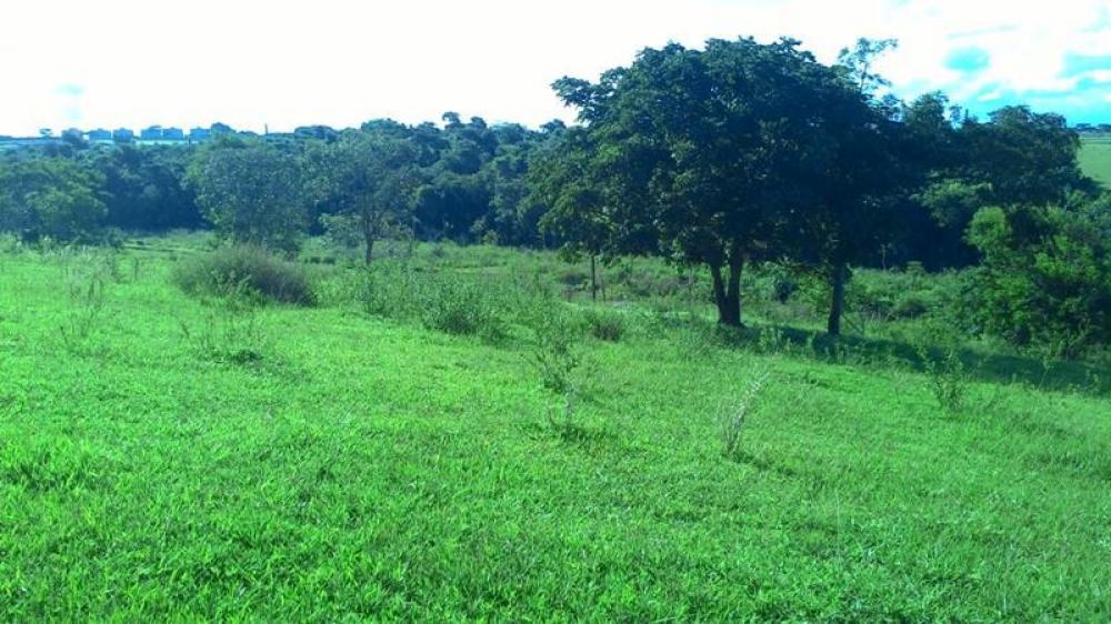 Comprar Terreno / Área em São José do Rio Preto apenas R$ 4.200.000,00 - Foto 2