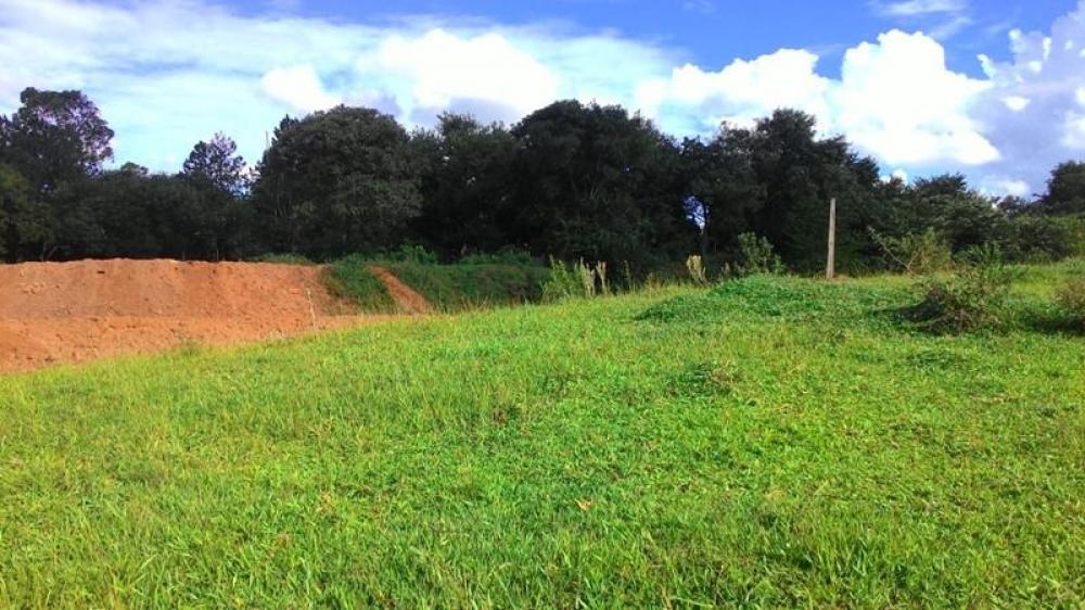 Comprar Terreno / Área em São José do Rio Preto apenas R$ 4.200.000,00 - Foto 4