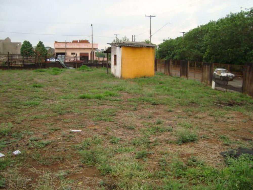 Comprar Terreno / Área em São José do Rio Preto R$ 1.200.000,00 - Foto 1