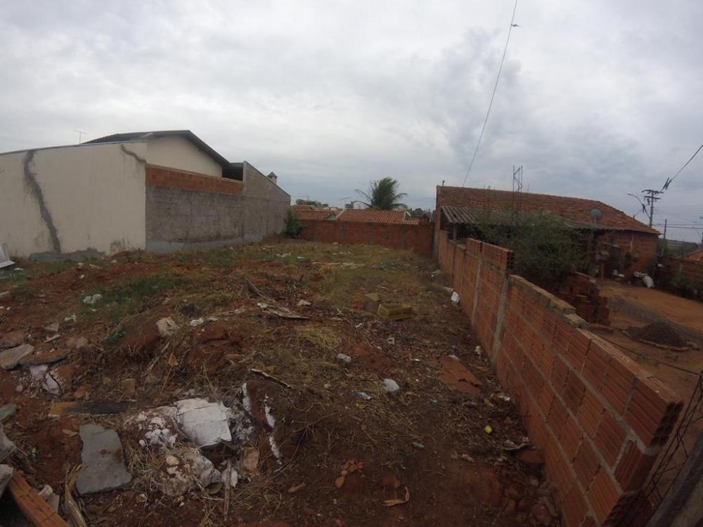 Comprar Terreno / Padrão em São José do Rio Preto apenas R$ 110.000,00 - Foto 3