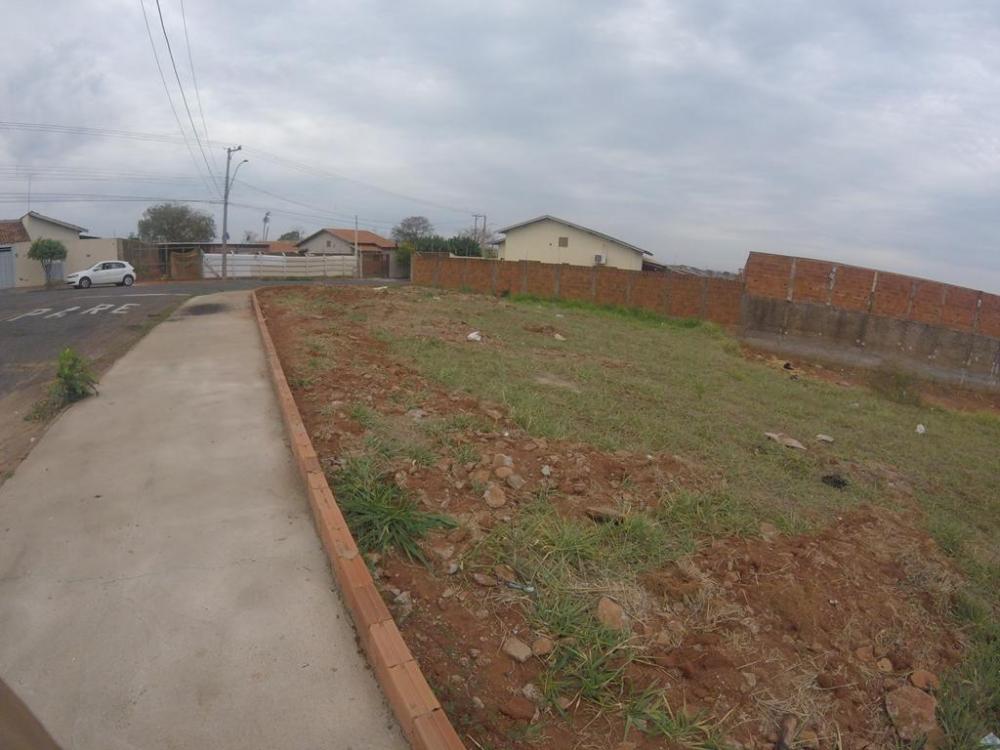 Comprar Terreno / Padrão em São José do Rio Preto R$ 205.000,00 - Foto 2