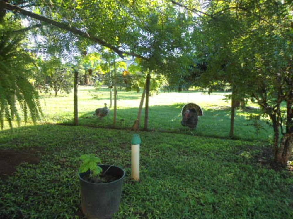 Comprar Casa / Condomínio em Mirassol R$ 3.800.000,00 - Foto 34