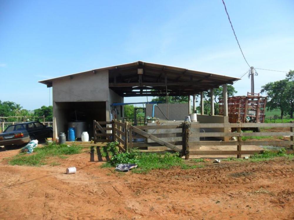 Comprar Rural / Sítio em São José do Rio Preto R$ 2.500.000,00 - Foto 31