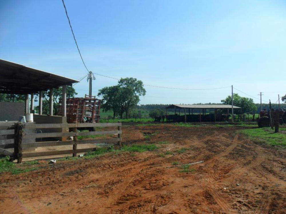 Comprar Rural / Sítio em São José do Rio Preto R$ 2.500.000,00 - Foto 32