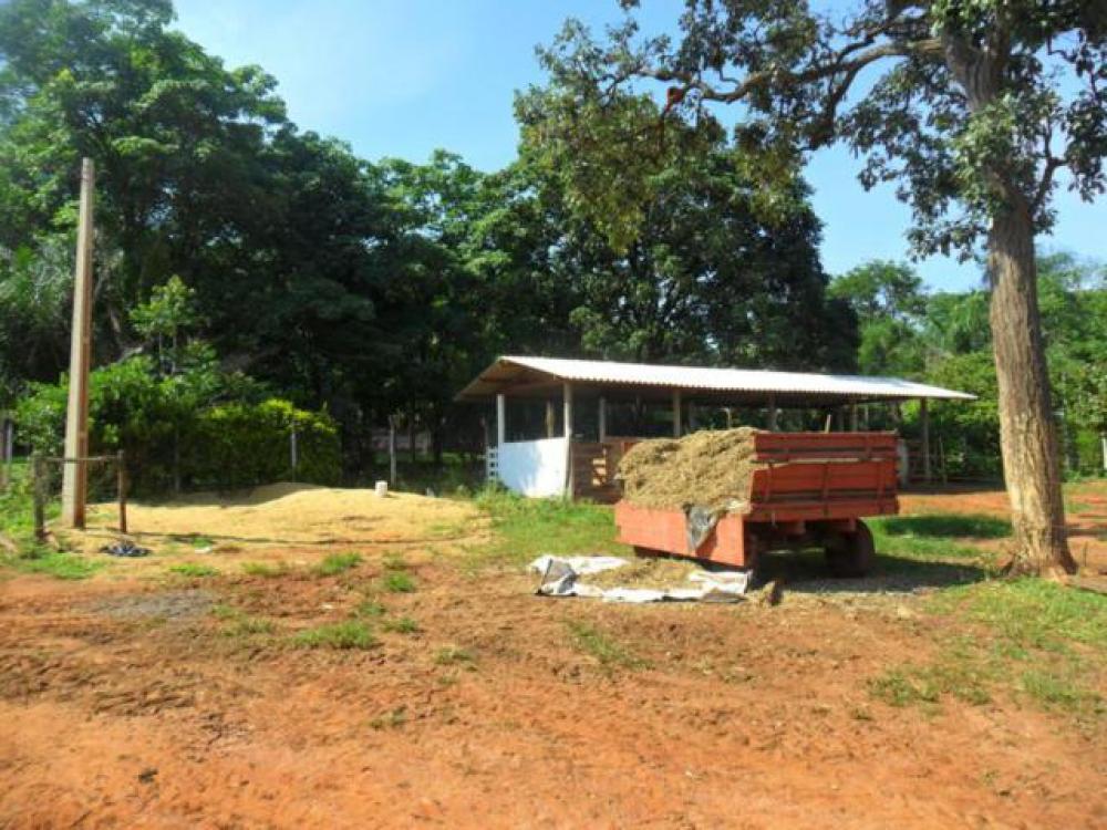 Comprar Rural / Sítio em São José do Rio Preto R$ 2.500.000,00 - Foto 43