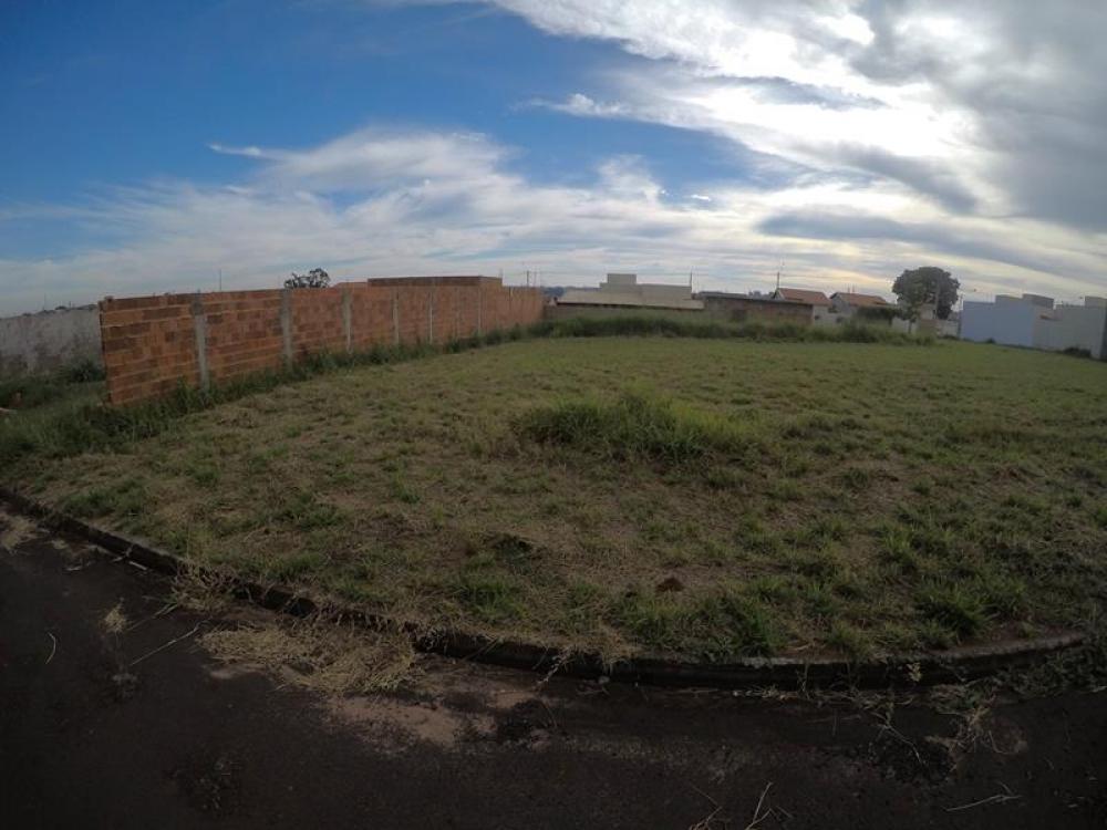 Comprar Terreno / Padrão em Bady Bassitt apenas R$ 82.000,00 - Foto 4