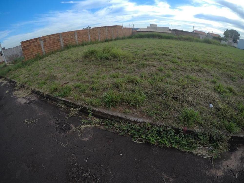 Comprar Terreno / Padrão em Bady Bassitt apenas R$ 82.000,00 - Foto 6