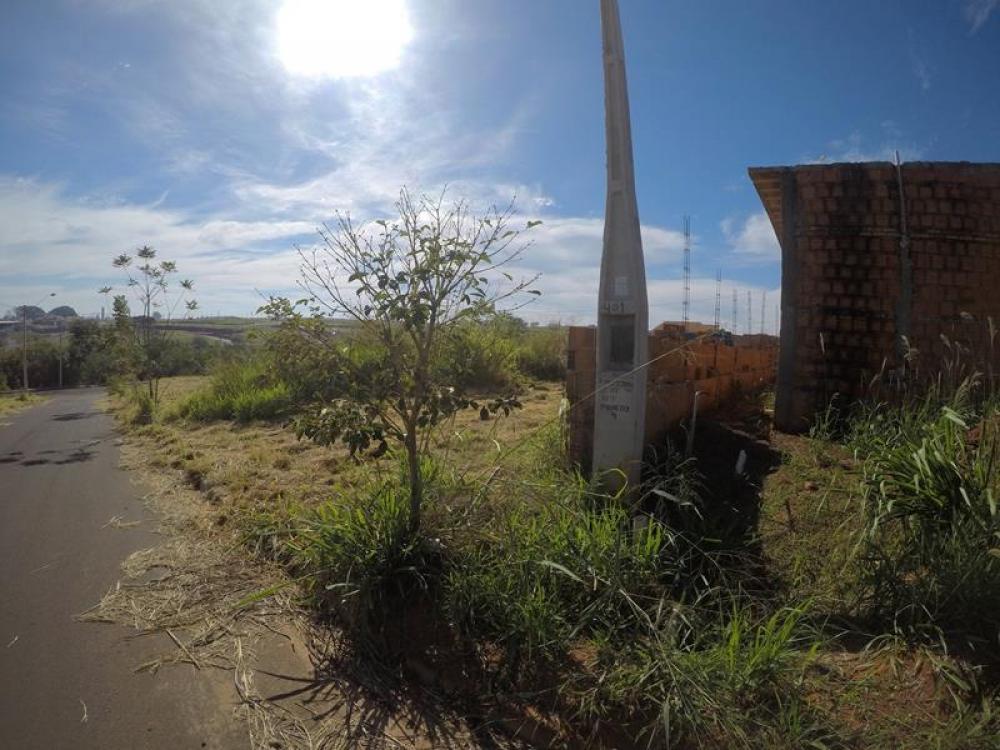 Comprar Terreno / Padrão em Bady Bassitt apenas R$ 61.000,00 - Foto 2