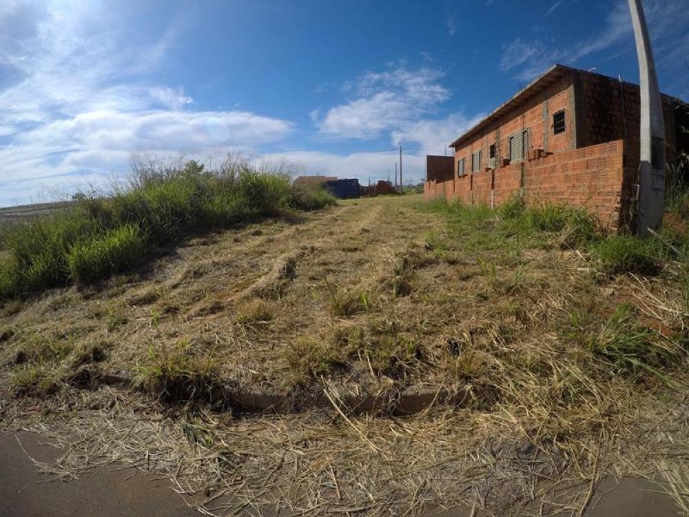 Comprar Terreno / Padrão em Bady Bassitt R$ 61.000,00 - Foto 4