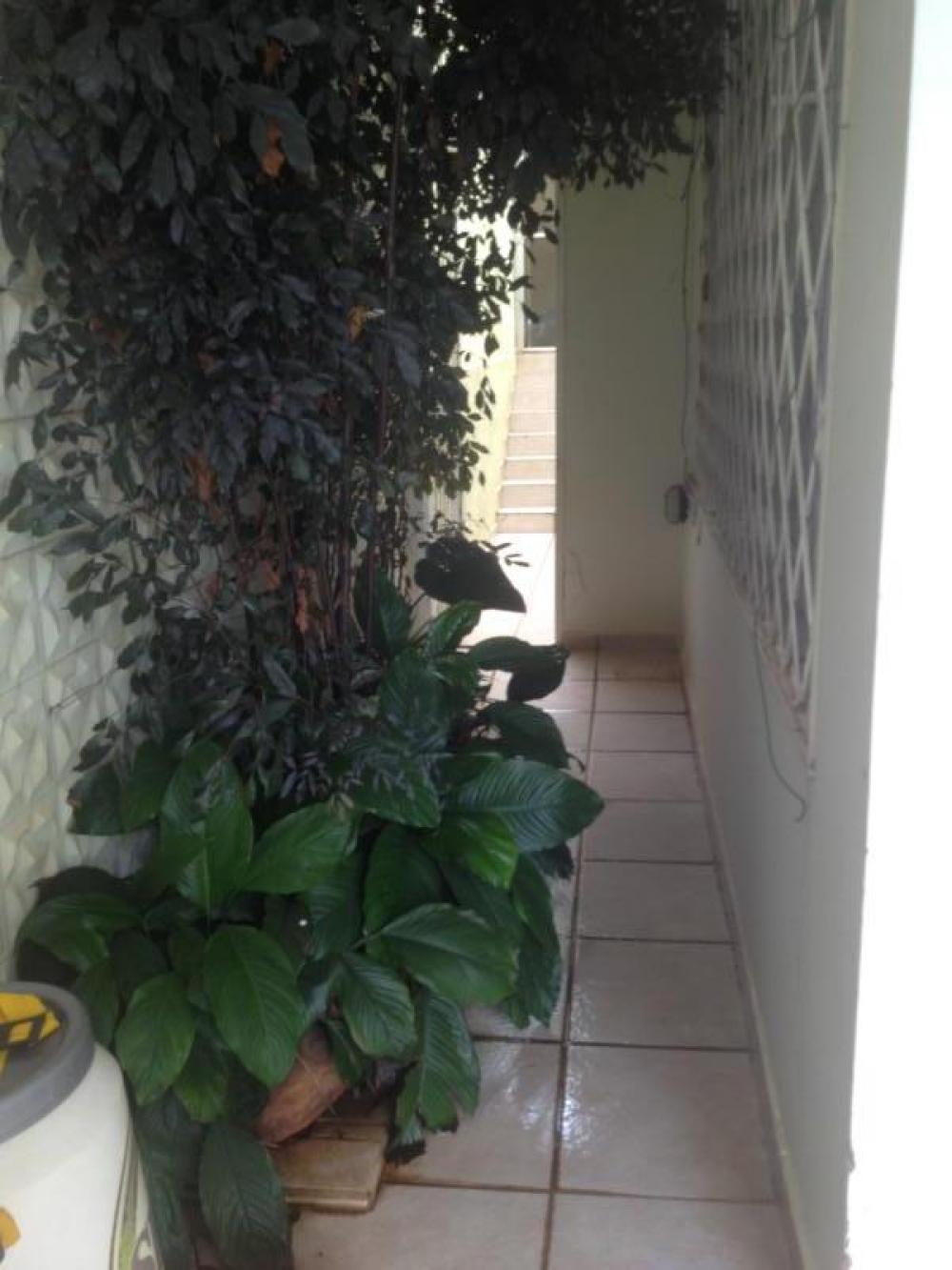 Comprar Casa / Sobrado em São José do Rio Preto R$ 750.000,00 - Foto 15