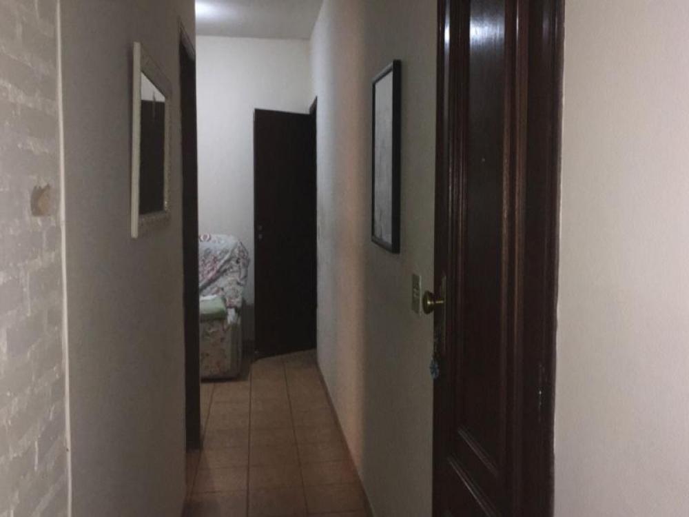 Alugar Casa / Padrão em São José do Rio Preto R$ 2.500,00 - Foto 4