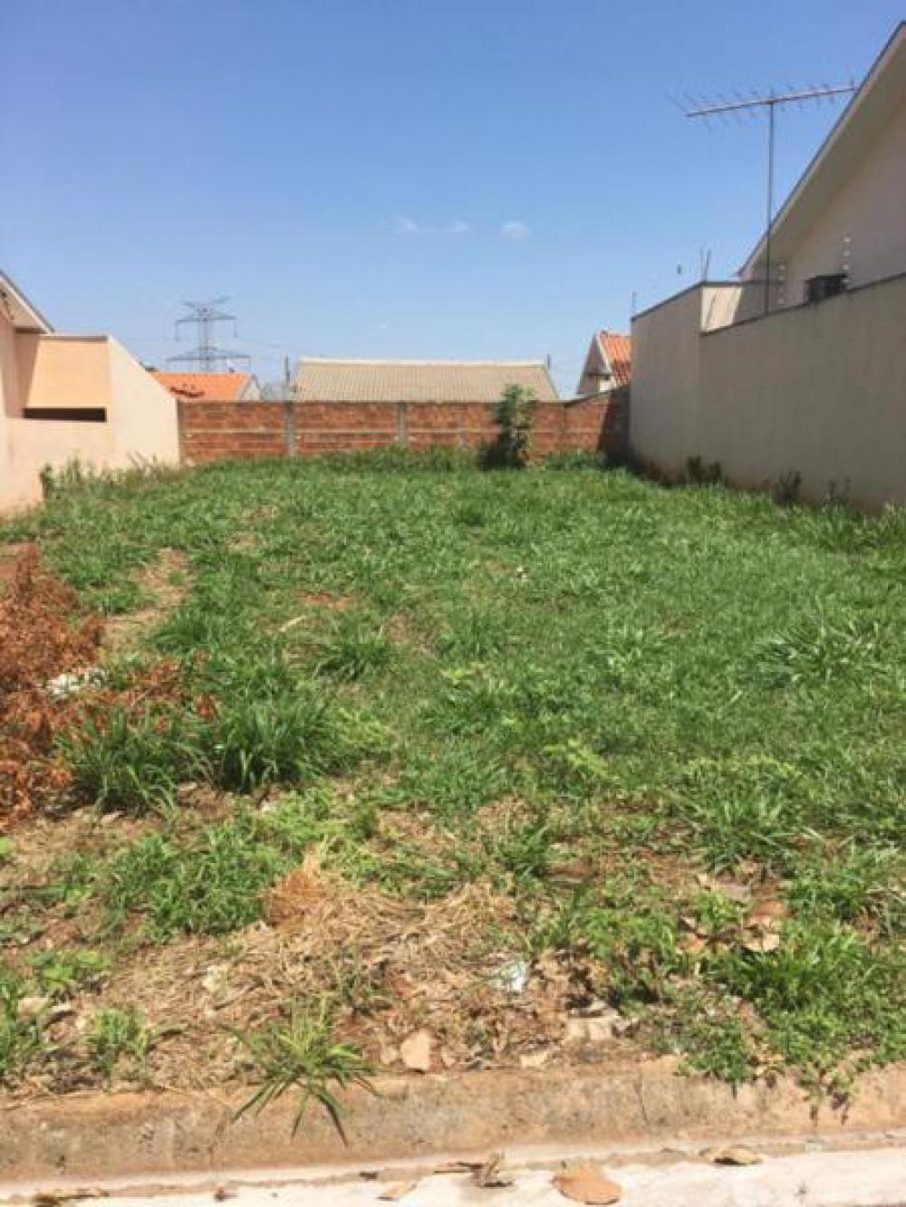 Comprar Terreno / Padrão em Bady Bassitt R$ 120.000,00 - Foto 2