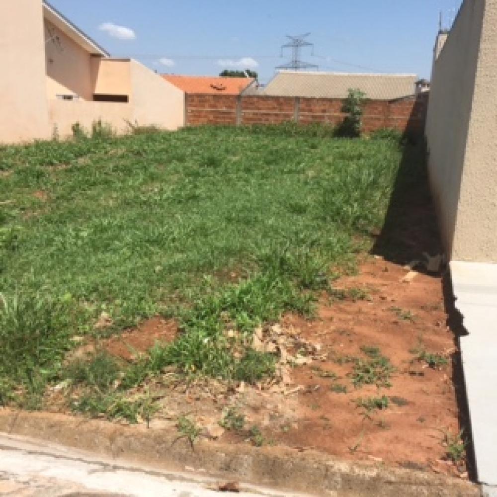 Comprar Terreno / Padrão em Bady Bassitt apenas R$ 120.000,00 - Foto 3