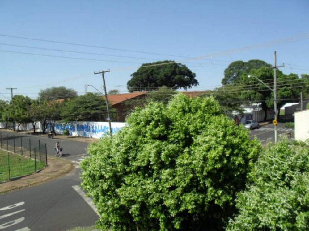 Alugar Comercial / Casa Comercial em São José do Rio Preto R$ 2.500,00 - Foto 12