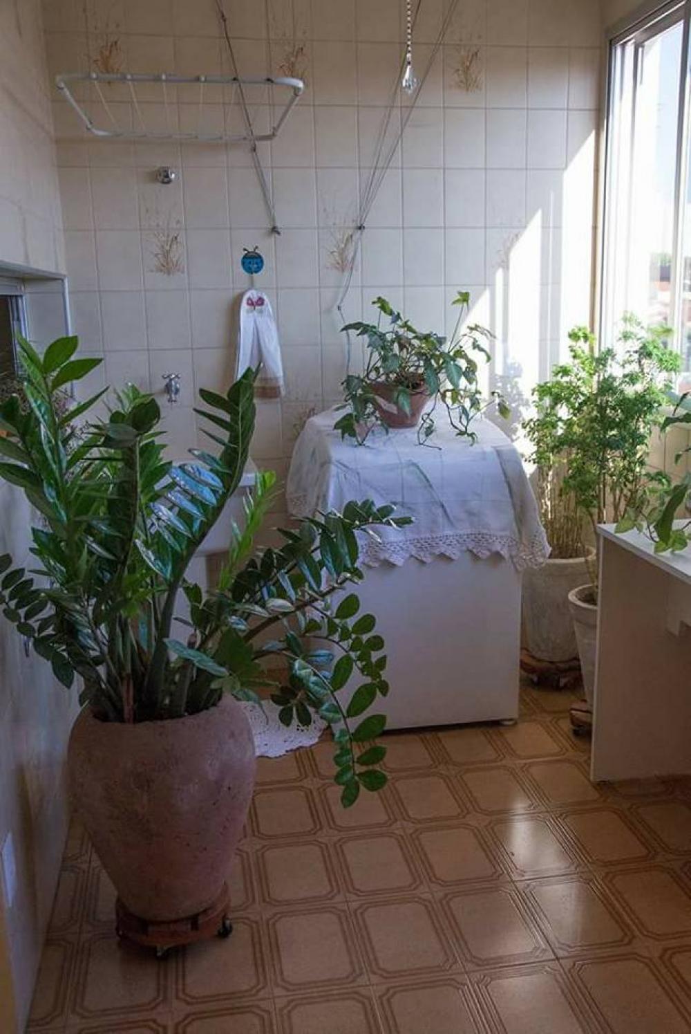 Alugar Apartamento / Padrão em São José do Rio Preto R$ 930,00 - Foto 28