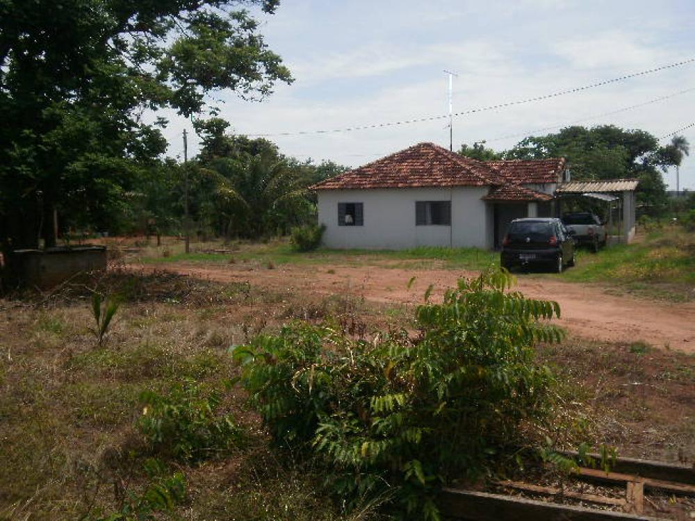 Comprar Rural / Sítio em Ipiguá R$ 2.500.000,00 - Foto 13