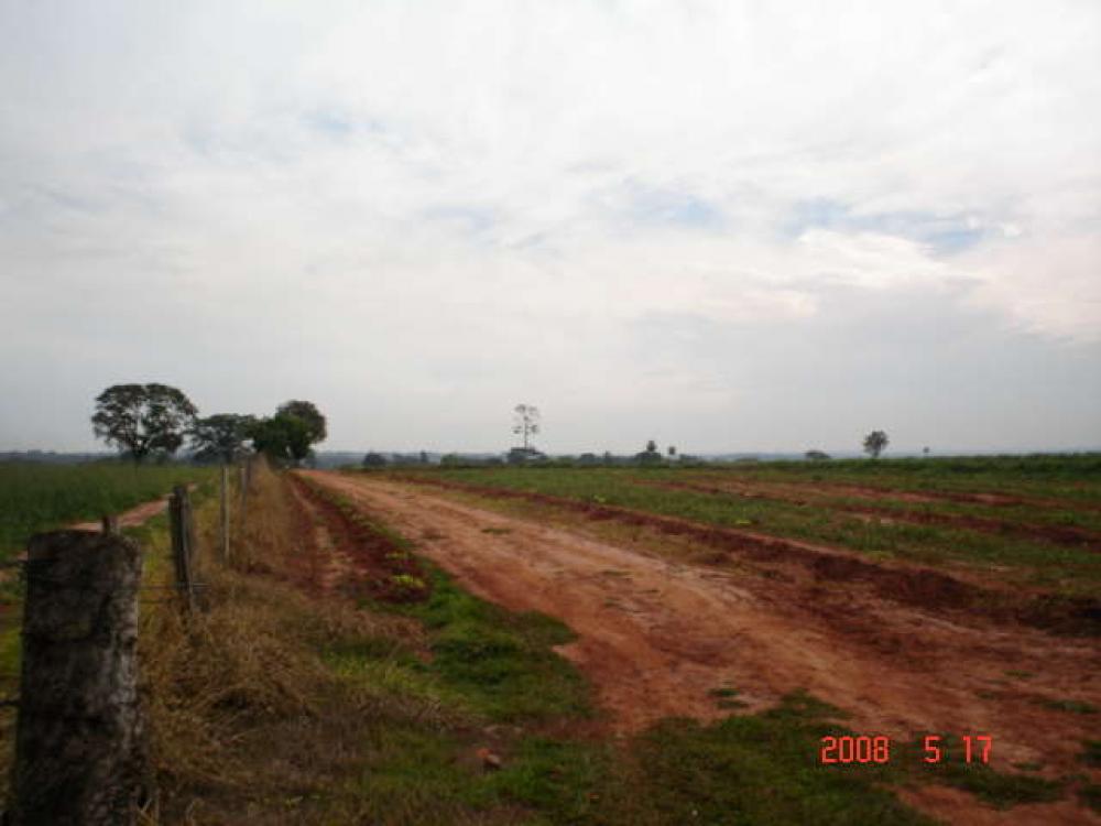 Comprar Rural / Sítio em Ipiguá R$ 2.500.000,00 - Foto 14