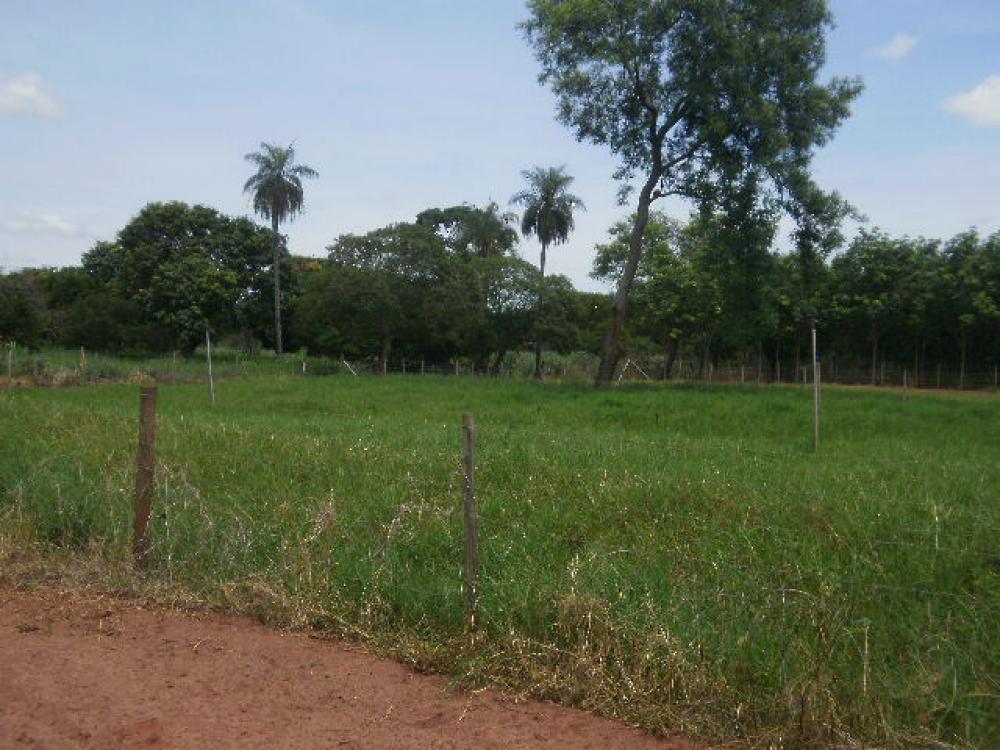 Comprar Rural / Sítio em Ipiguá R$ 2.500.000,00 - Foto 16