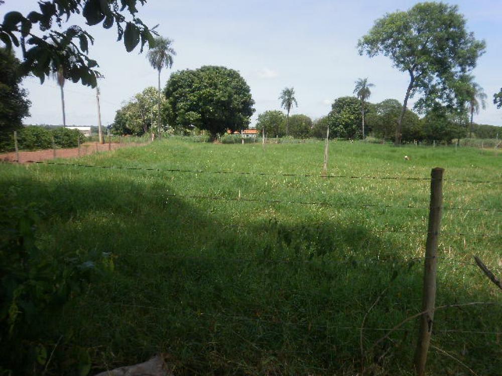Comprar Rural / Sítio em Ipiguá R$ 2.500.000,00 - Foto 27