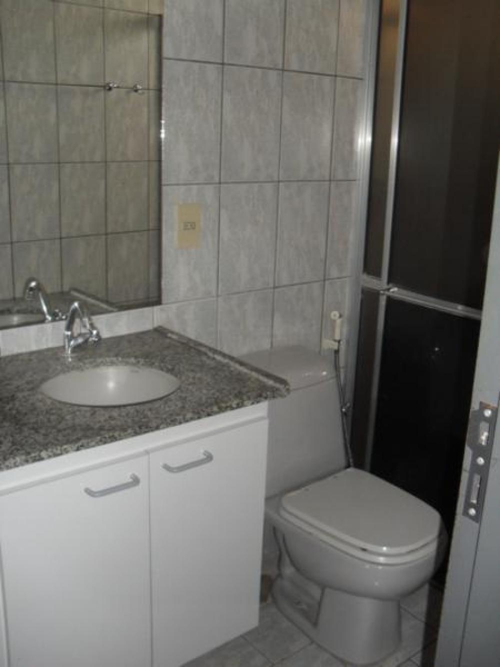 Alugar Apartamento / Padrão em São José do Rio Preto R$ 550,00 - Foto 14