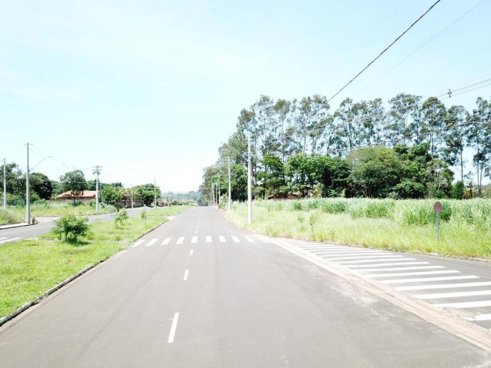 Alugar Terreno / Padrão em São José do Rio Preto apenas R$ 1.000,00 - Foto 2