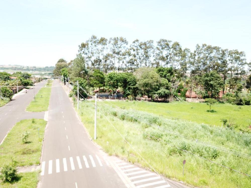 Alugar Terreno / Padrão em São José do Rio Preto R$ 1.000,00 - Foto 9