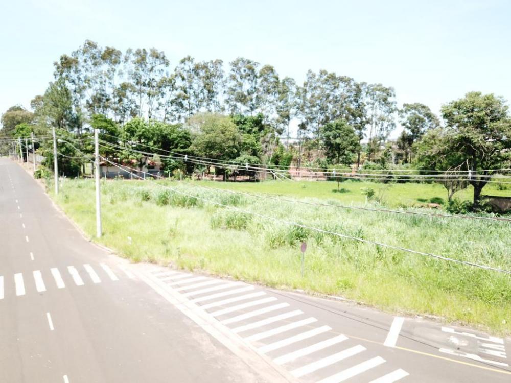 Alugar Terreno / Padrão em São José do Rio Preto apenas R$ 1.000,00 - Foto 10