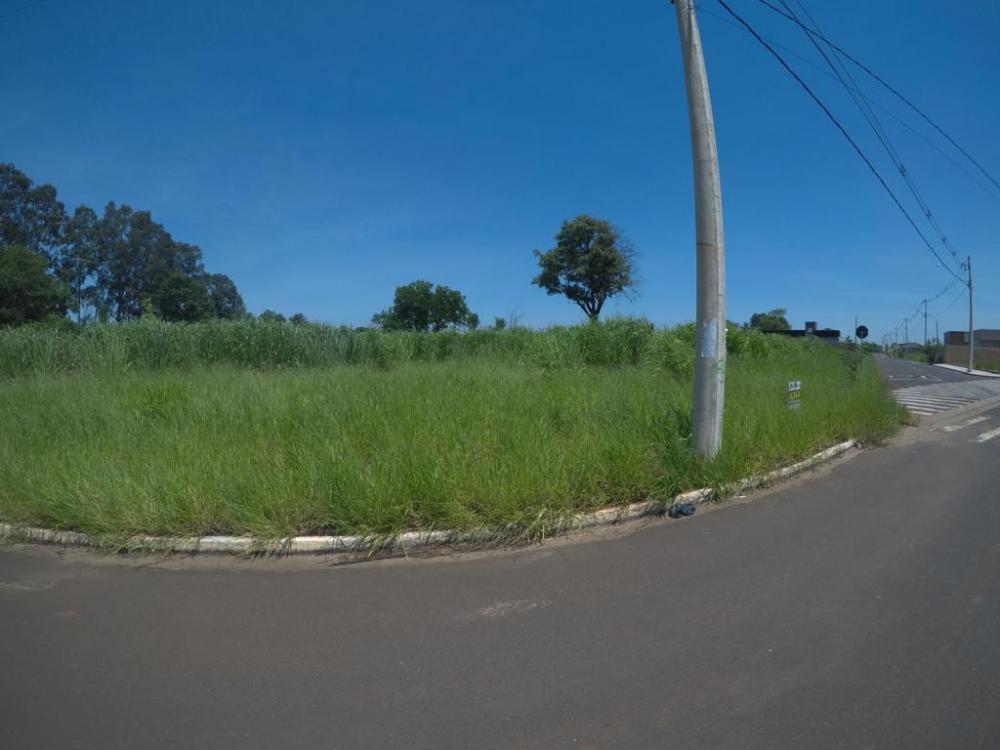 Alugar Terreno / Padrão em São José do Rio Preto R$ 1.000,00 - Foto 11