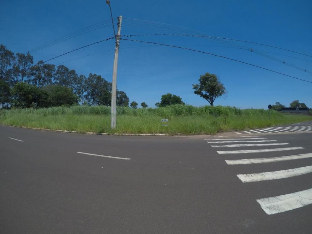 Alugar Terreno / Padrão em São José do Rio Preto apenas R$ 1.000,00 - Foto 12