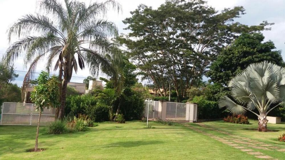 Comprar Rural / Chácara em Cedral R$ 1.650.000,00 - Foto 8