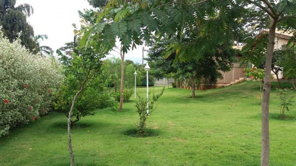 Comprar Rural / Chácara em Cedral R$ 1.650.000,00 - Foto 17