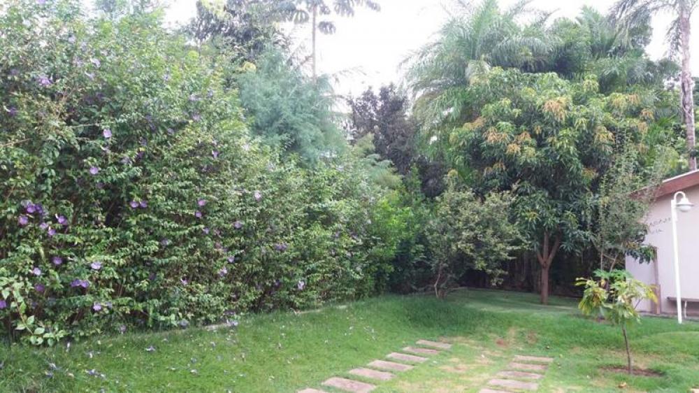 Comprar Rural / Chácara em Cedral R$ 1.650.000,00 - Foto 22