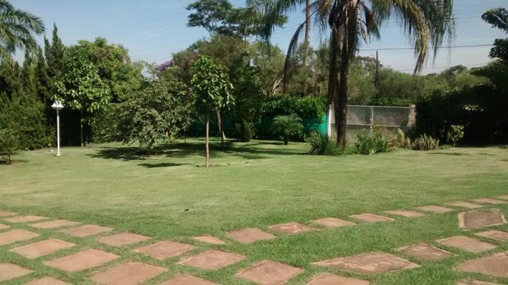 Comprar Rural / Chácara em Cedral R$ 1.650.000,00 - Foto 26