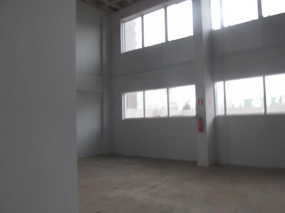 Alugar Comercial / Sala em São José do Rio Preto R$ 17.000,00 - Foto 3