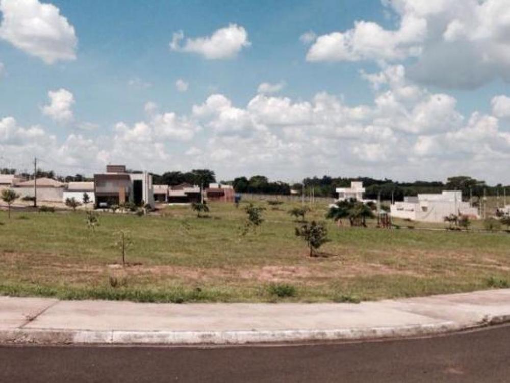 Comprar Terreno / Padrão em Cedral R$ 80.000,00 - Foto 1