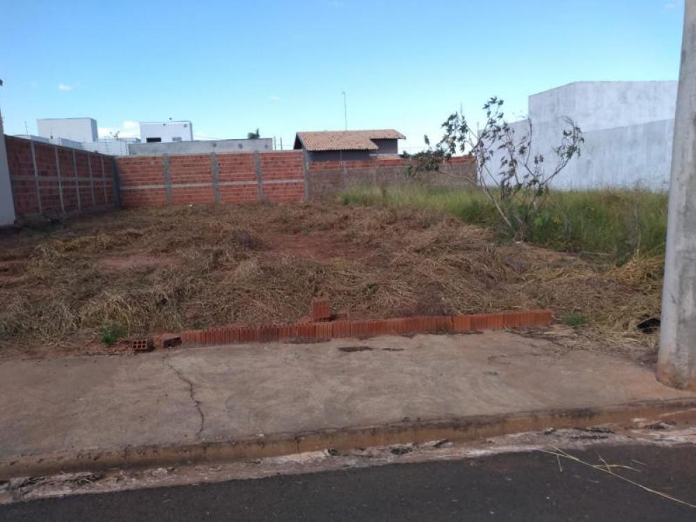 Comprar Terreno / Padrão em São José do Rio Preto apenas R$ 117.500,00 - Foto 4