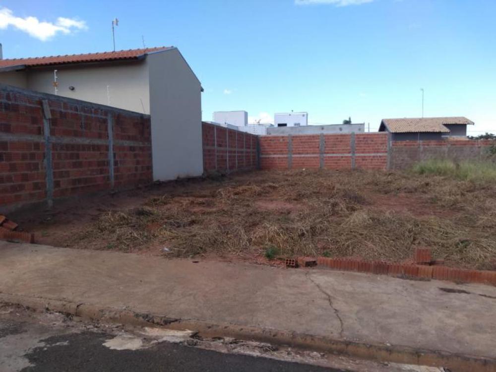 Comprar Terreno / Padrão em São José do Rio Preto apenas R$ 117.500,00 - Foto 5