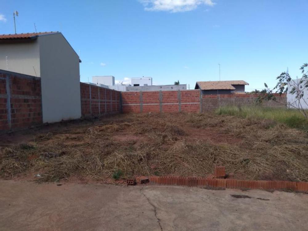 Comprar Terreno / Padrão em São José do Rio Preto apenas R$ 117.500,00 - Foto 6