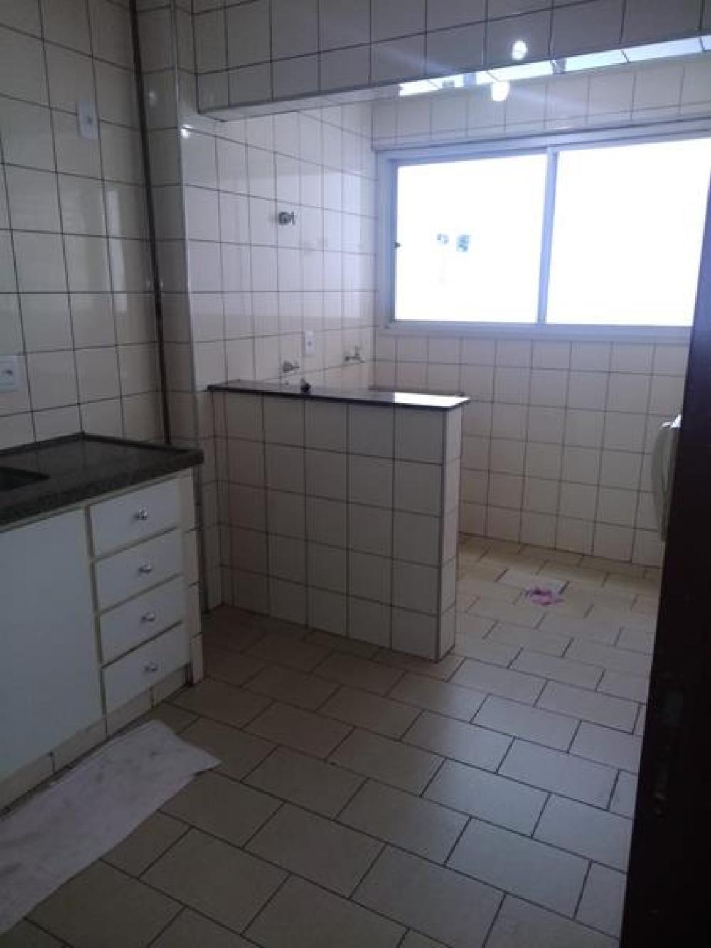 Alugar Apartamento / Padrão em São José do Rio Preto R$ 600,00 - Foto 9